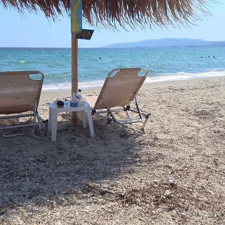 Aggeliki Metagkitsi